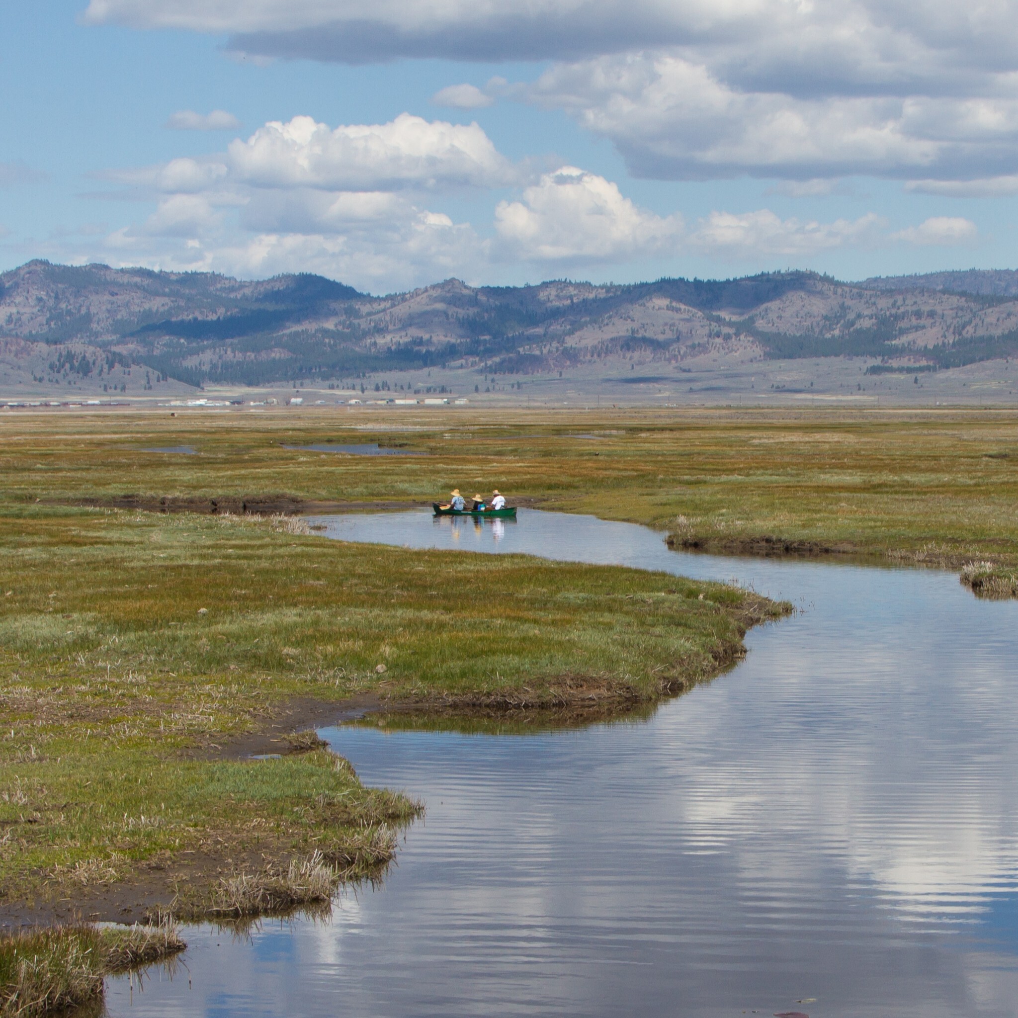 Birding, Boating, & Botany - logo